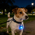 LED-hänge t/hundhalsband Petzone
